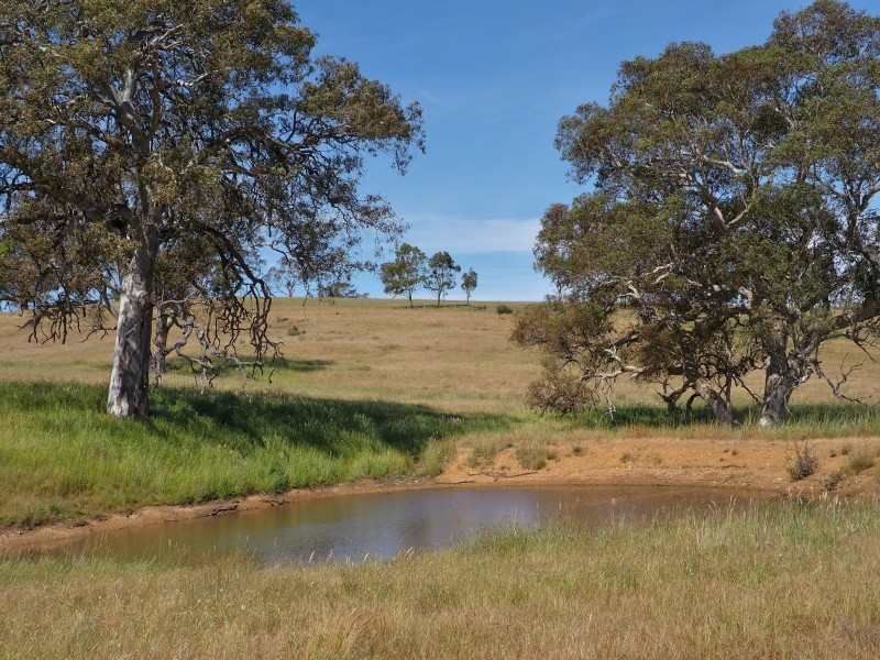 117 Taverner Road, Wistow SA 5251