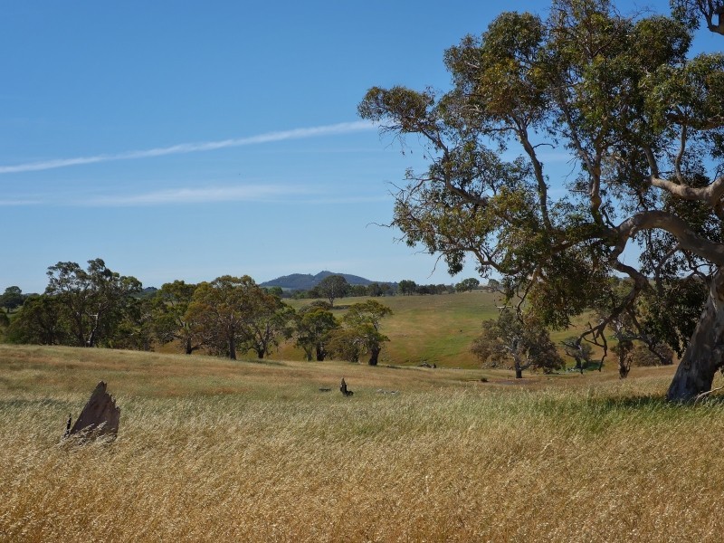 117 Taverner Road, Wistow SA 5251