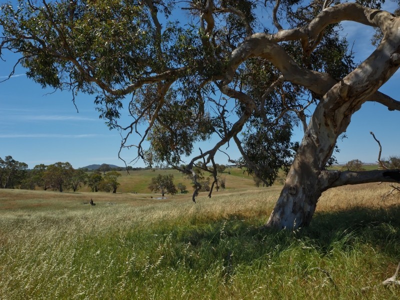 117 Taverner Road, Wistow SA 5251