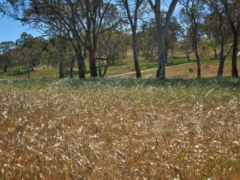 117 Taverner Road, Wistow SA 5251