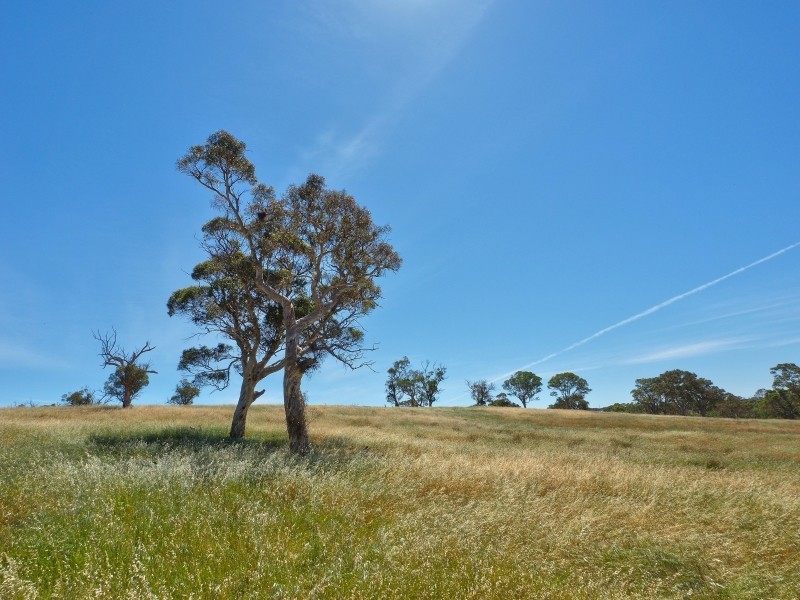 117 Taverner Road, Wistow SA 5251