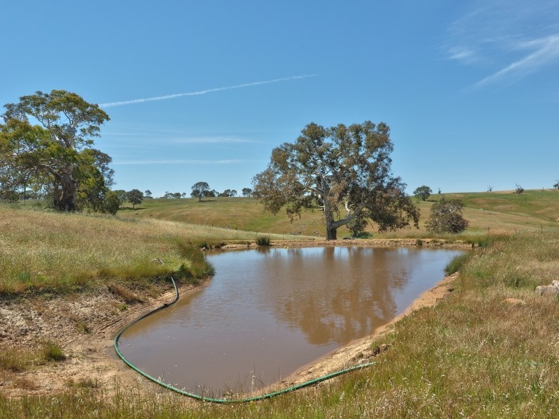 117 Taverner Road, Wistow SA 5251