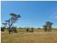 117 Taverner Road, Wistow SA 5251
