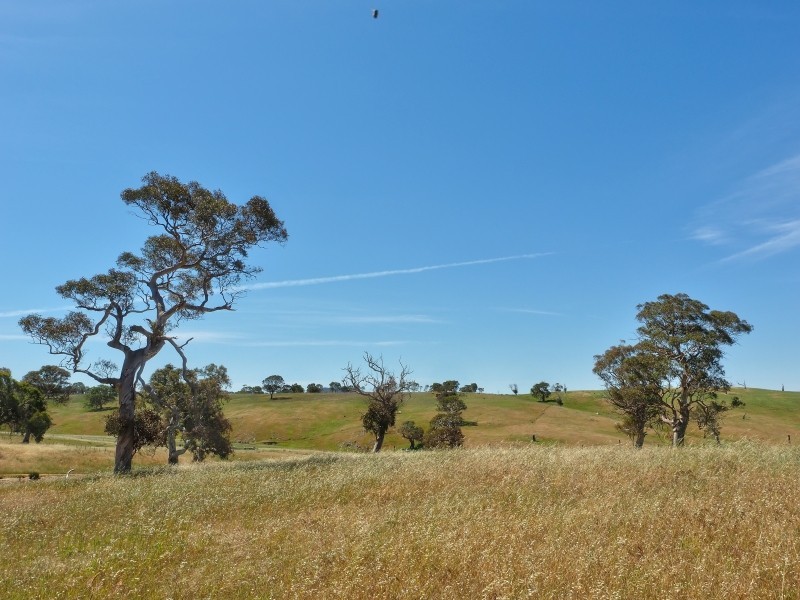 117 Taverner Road, Wistow SA 5251