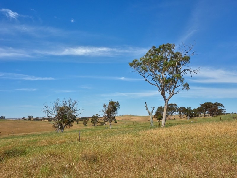 117 Taverner Road, Wistow SA 5251