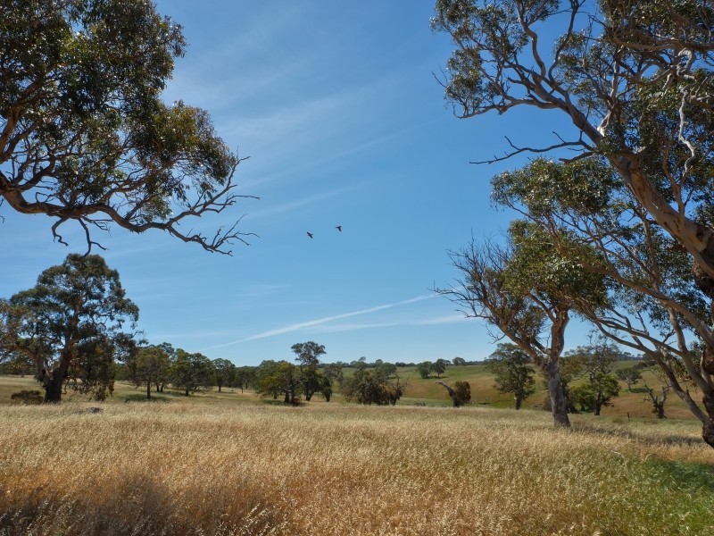 117 Taverner Road, Wistow SA 5251