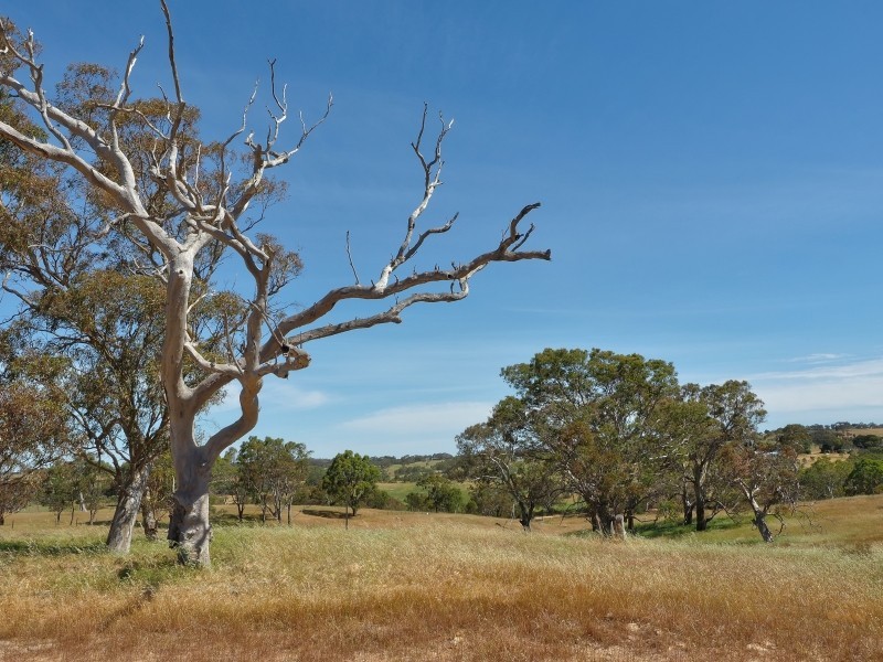 117 Taverner Road, Wistow SA 5251