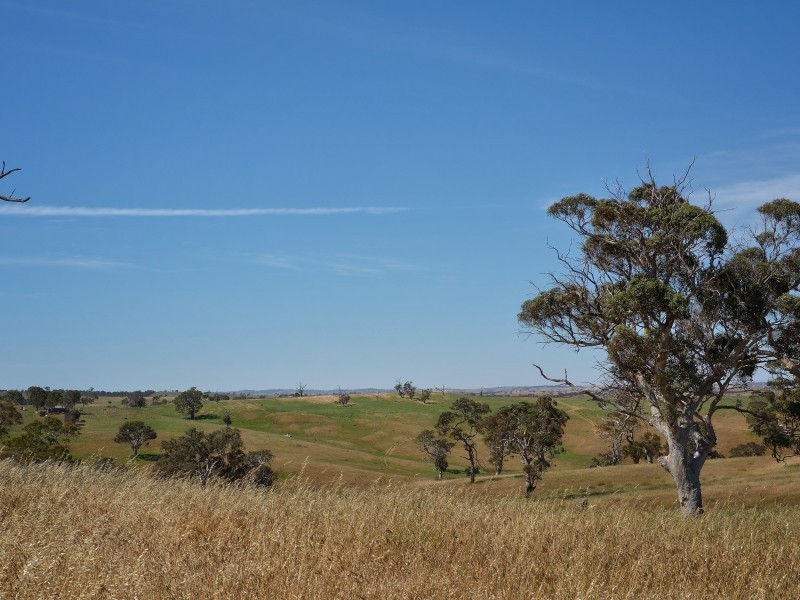 117 Taverner Road, Wistow SA 5251