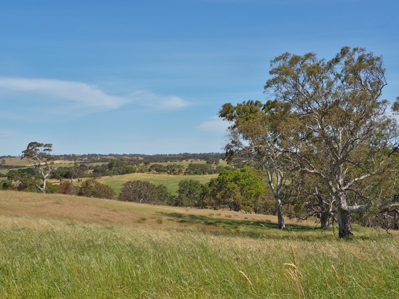 117 Taverner Road, Wistow SA 5251