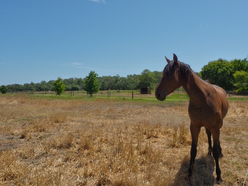 1075 Onkaparinga Valley Road, Woodside SA 5244
