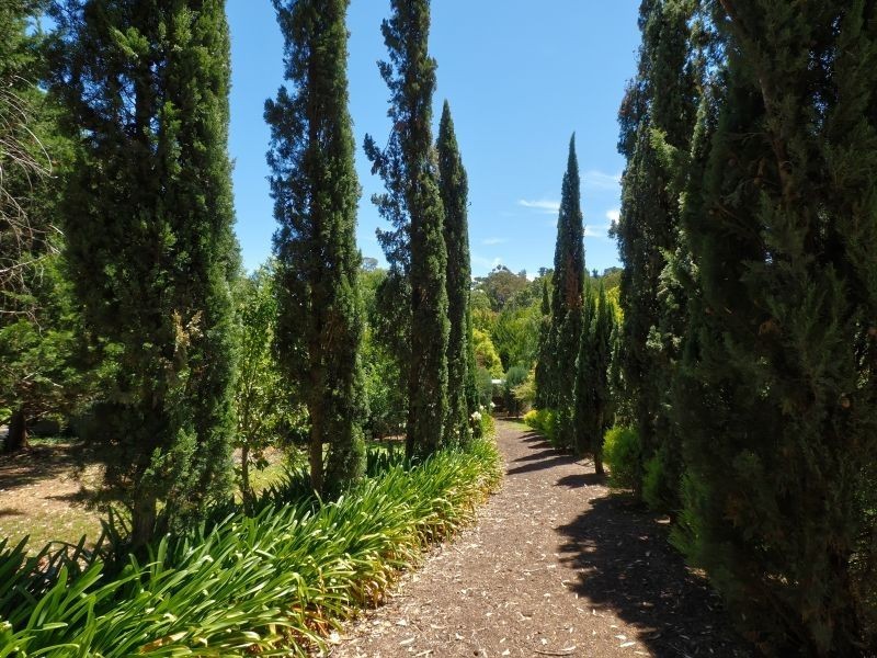 51 Woodside Road, Lobethal SA 5241