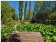 51 Woodside Road, Lobethal SA 5241