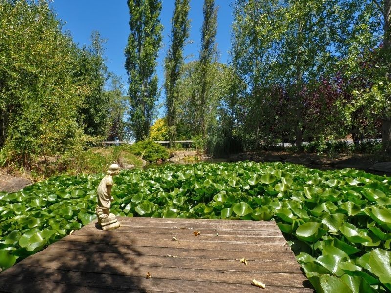 51 Woodside Road, Lobethal SA 5241