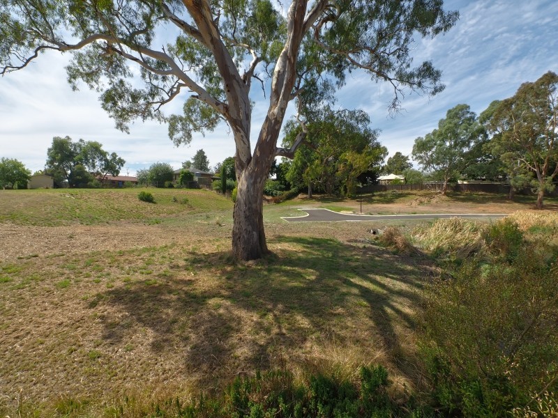 Lots 81-84 Braun Drive, Hahndorf SA 5245