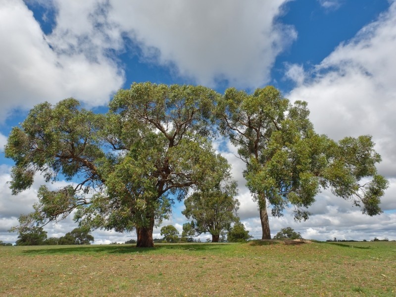 83 Todd Road, Mylor SA 5153