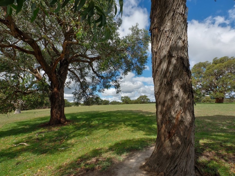 83 Todd Road, Mylor SA 5153