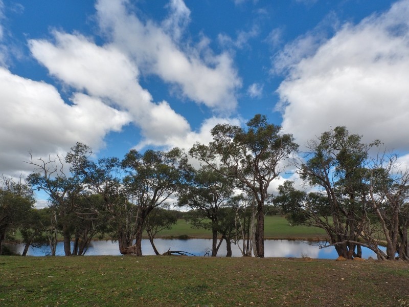 83 Todd Road, Mylor SA 5153