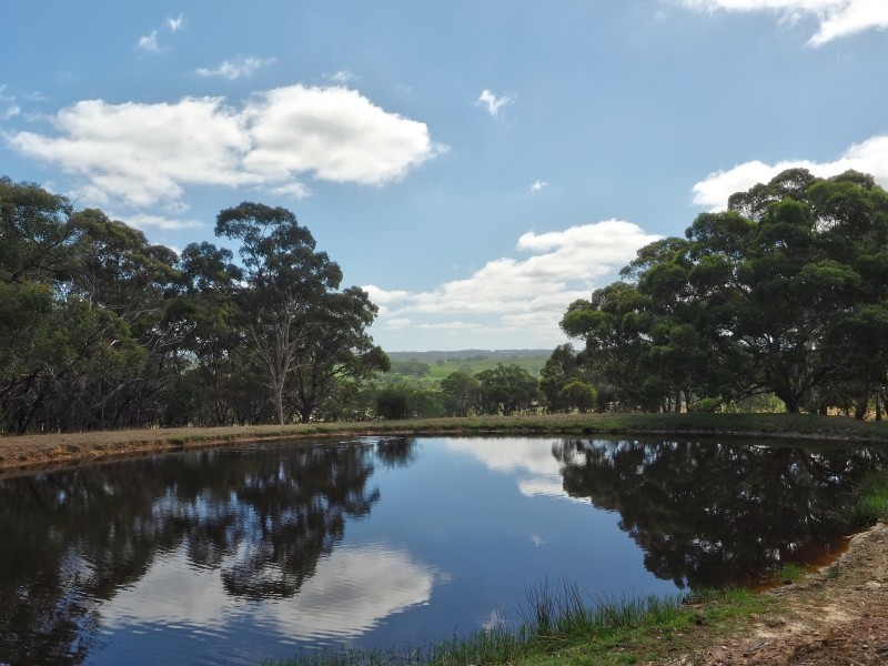 108 Naughtons Road, Woodside SA 5244