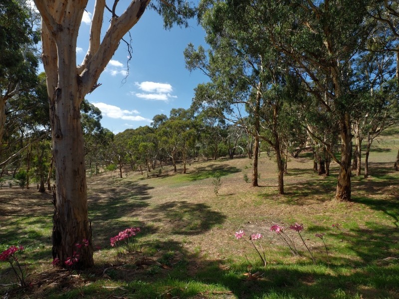 108 Naughtons Road, Woodside SA 5244