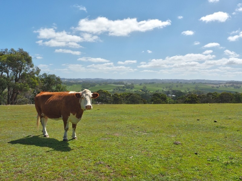 108 Naughtons Road, Woodside SA 5244