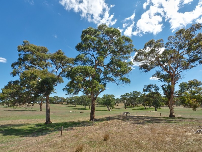 Sect 134 Hermanns Road, Mount Torrens SA 5244