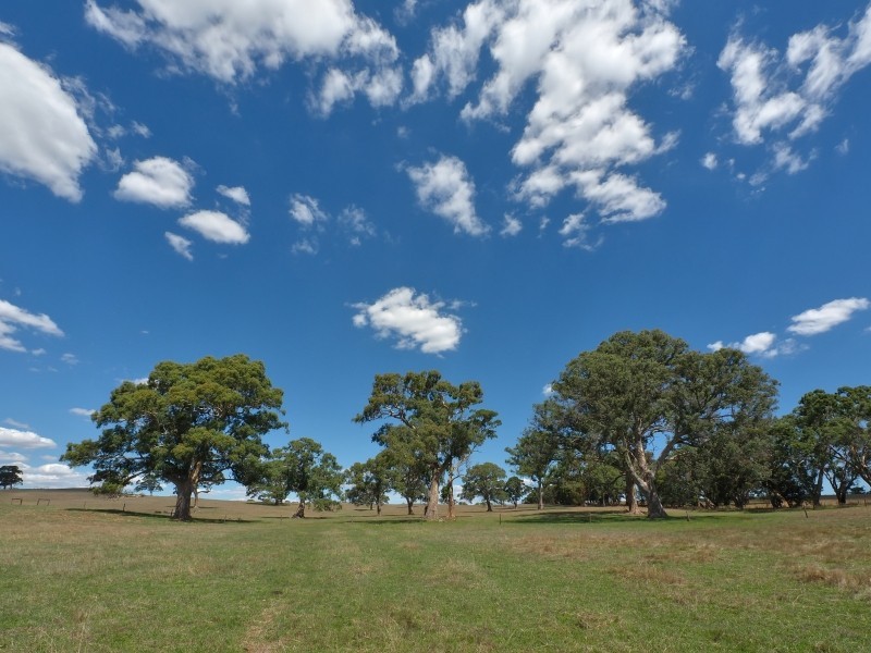 Sect 134 Hermanns Road, Mount Torrens SA 5244
