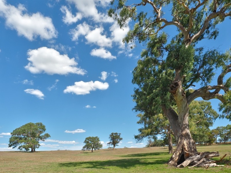 Sect 134 Hermanns Road, Mount Torrens SA 5244