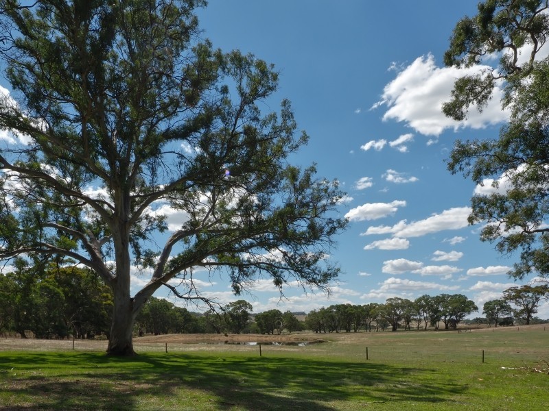 Sect 134 Hermanns Road, Mount Torrens SA 5244