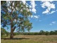 Sect 134 Hermanns Road, Mount Torrens SA 5244
