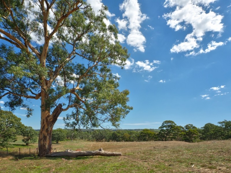 Sect 134 Hermanns Road, Mount Torrens SA 5244