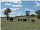 Sect 134 Hermanns Road, Mount Torrens SA 5244