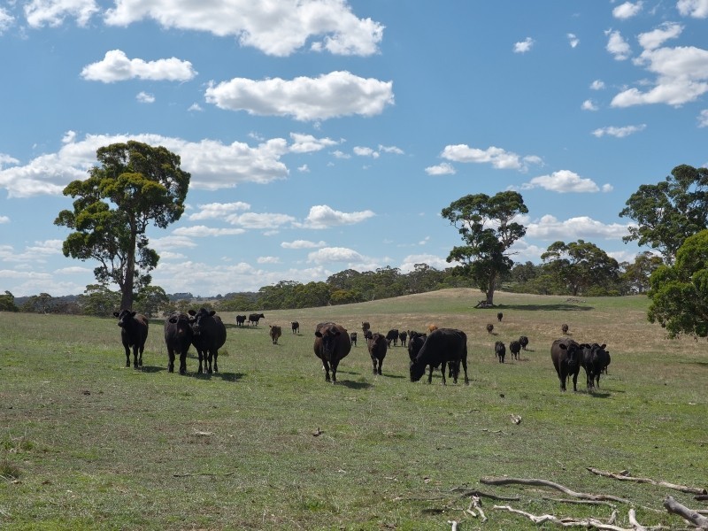 Sect 134 Hermanns Road, Mount Torrens SA 5244