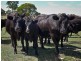 Sect 134 Hermanns Road, Mount Torrens SA 5244