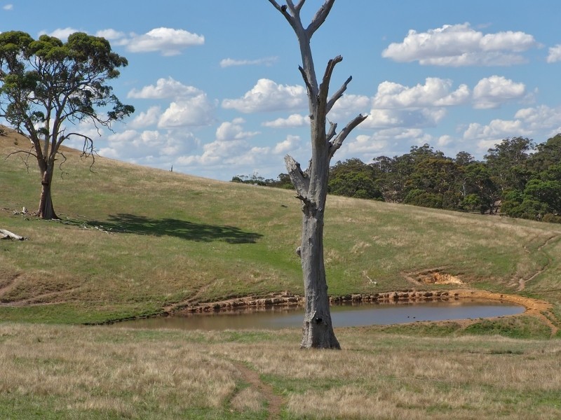 Sect 134 Hermanns Road, Mount Torrens SA 5244