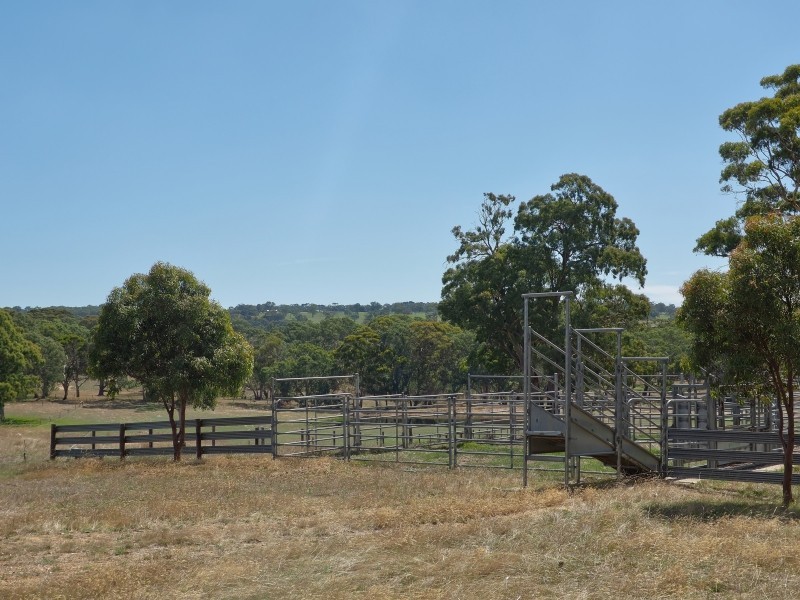 Sect 134 Hermanns Road, Mount Torrens SA 5244