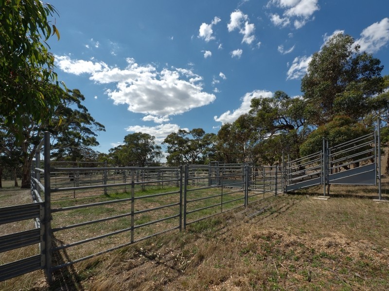 Sect 134 Hermanns Road, Mount Torrens SA 5244