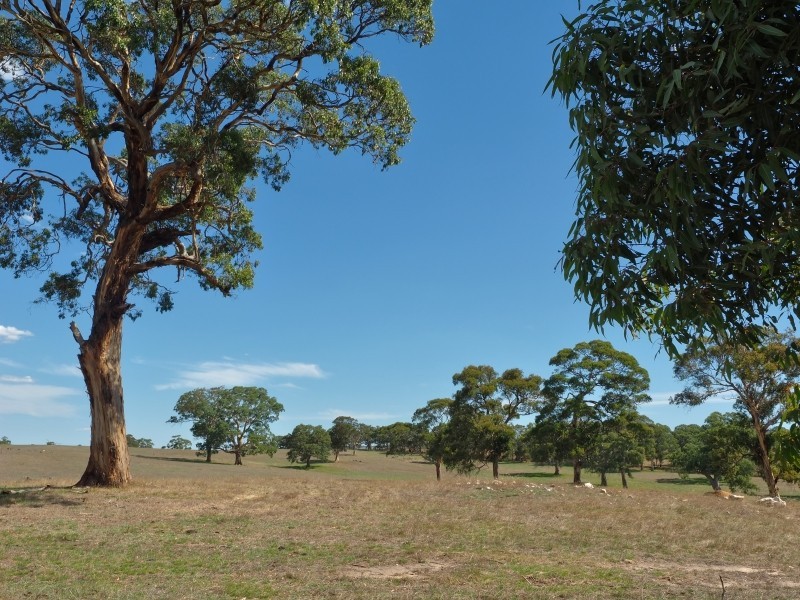 Sect 134 Hermanns Road, Mount Torrens SA 5244