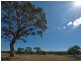 Sect 134 Hermanns Road, Mount Torrens SA 5244