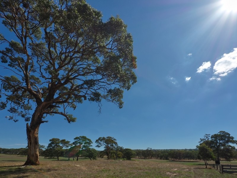 Sect 134 Hermanns Road, Mount Torrens SA 5244