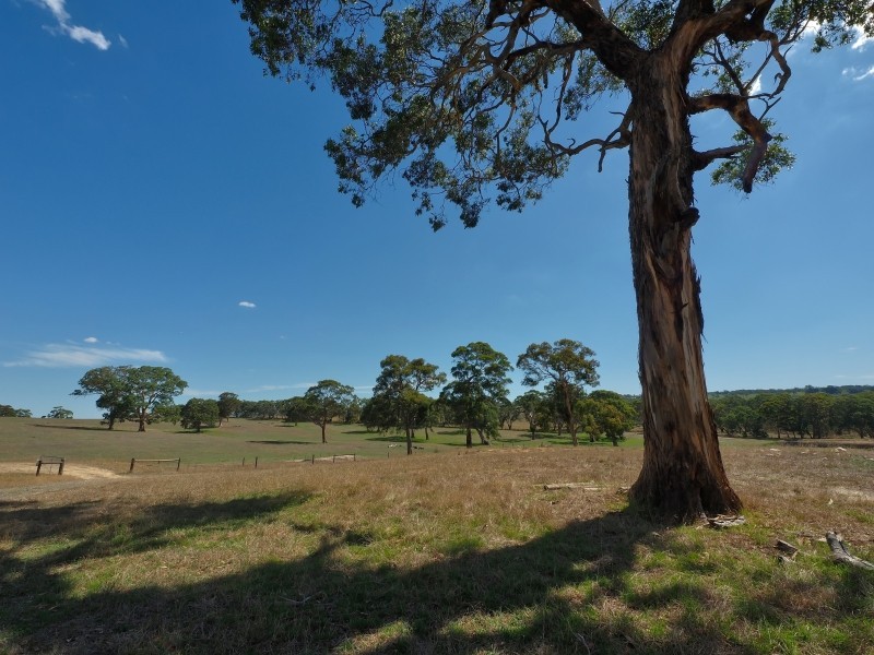 Sect 134 Hermanns Road, Mount Torrens SA 5244