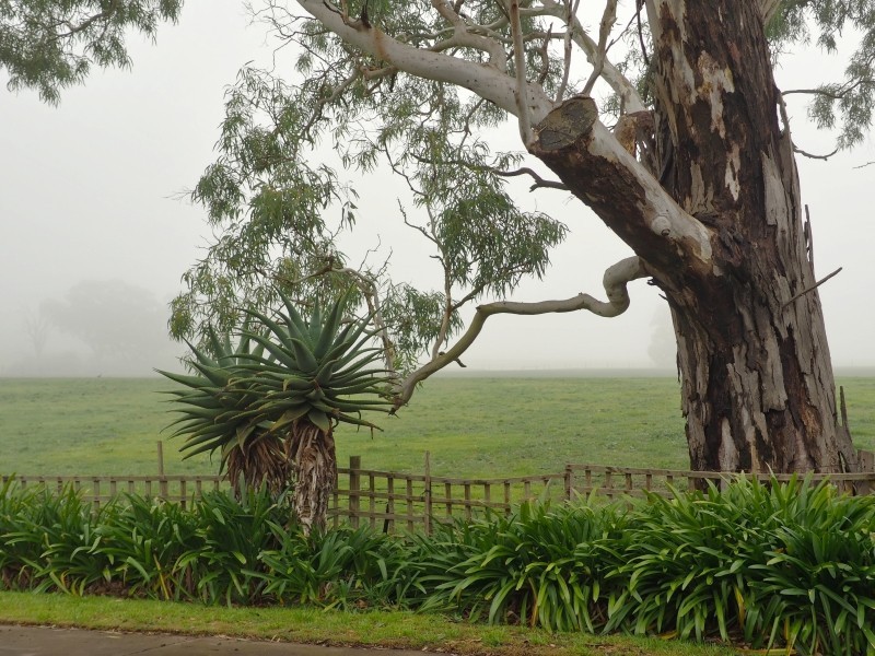 6 Woodgate Street, Echunga SA 5153