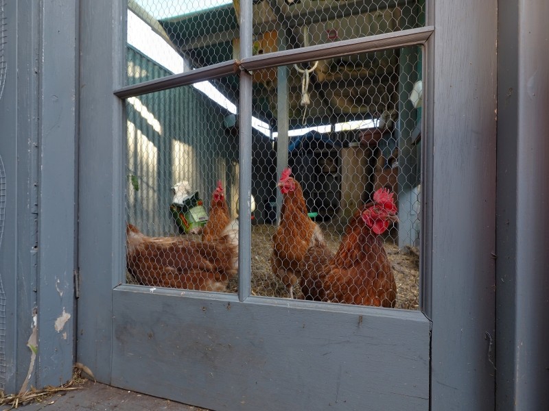 2 Alston Road, Littlehampton SA 5250