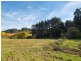 Pieces 9 & 10 Swamp Road, Lenswood SA 5240