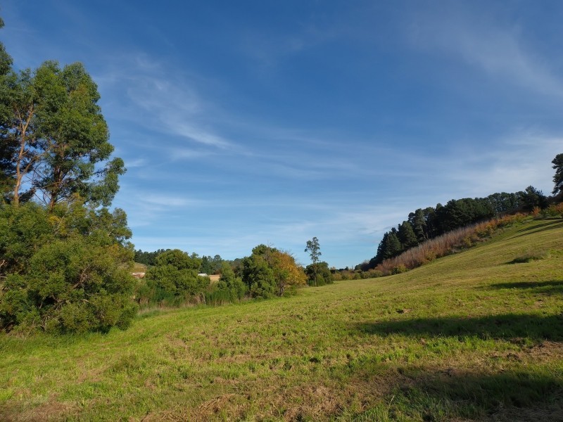 Pieces 9 & 10 Swamp Road, Lenswood SA 5240