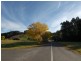 Pieces 9 & 10 Swamp Road, Lenswood SA 5240