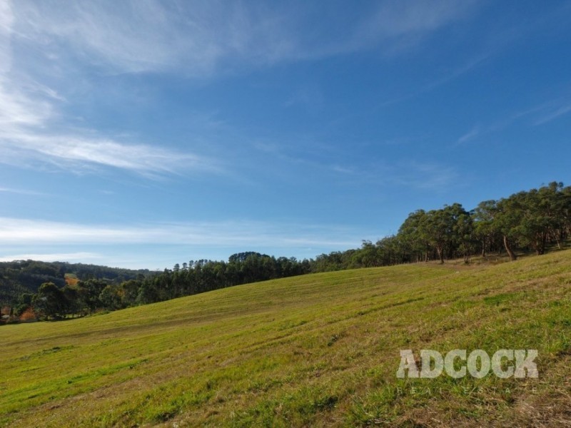 Lot 11 Swamp Road, Lenswood SA 5240