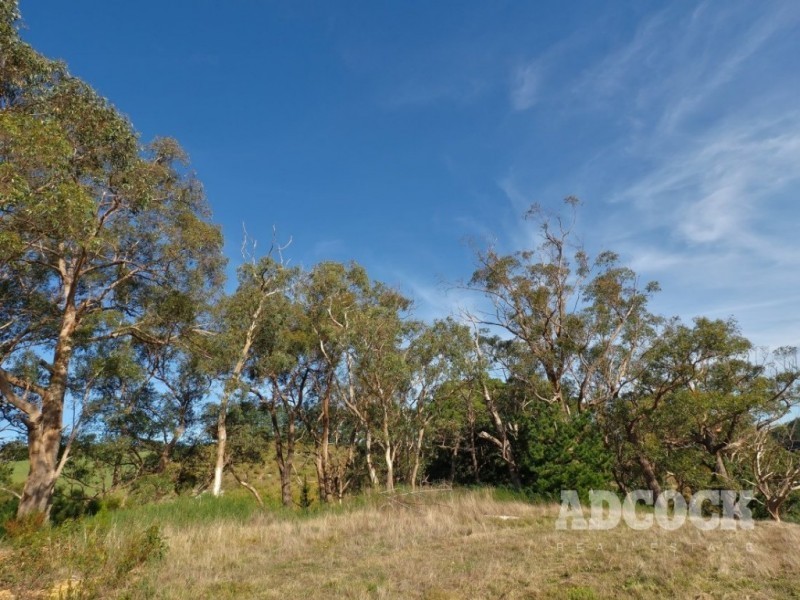 Lot 11 Swamp Road, Lenswood SA 5240