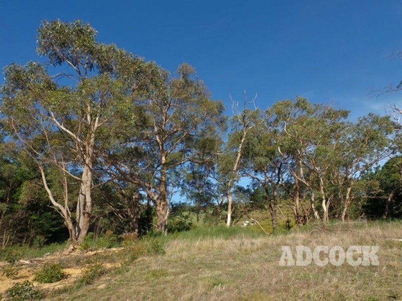 Lot 11 Swamp Road, Lenswood SA 5240