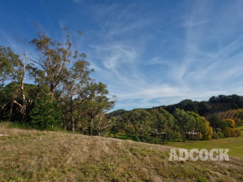 Lot 11 Swamp Road, Lenswood SA 5240
