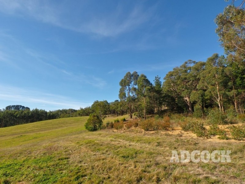 Lot 11 Swamp Road, Lenswood SA 5240